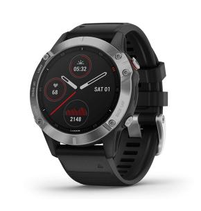 Garmin fenix 6 silver/ noir