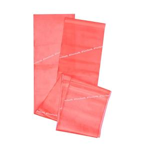 Bande élastique Theraband Rouge (Sac+Manuel) 2.5 m (Résistance: Level 2)