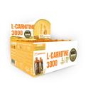 GoldNutrition L-Carnitine 3000mg - 20 x 10 ml GoldNutrition L-Carnitine 3000mg - 20 x 10 ml