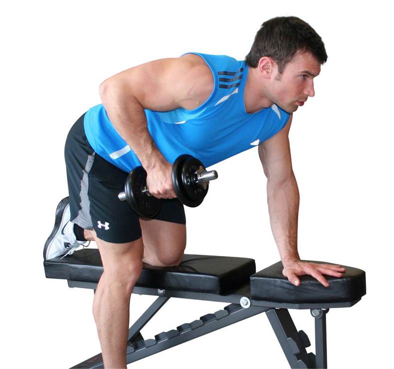 Banc de musculation incliné Finnlo nouveau | fitnessdigital Banc de musculation incliné Finnlo nouveau | fitnessdigital